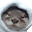 :comfy: