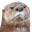 :cutemad: