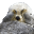 :hiding: