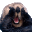 :surprised: