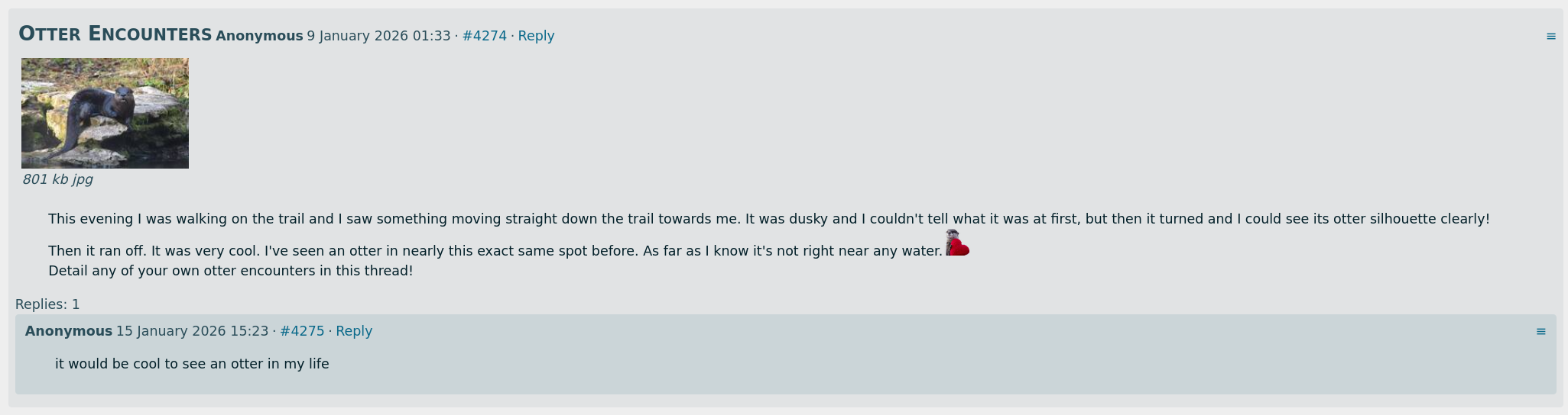 A topic post with Reply button