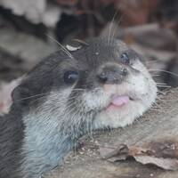 89927