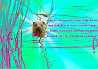 2892626