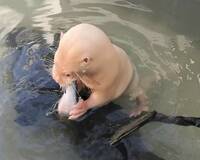54708