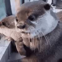 4015400