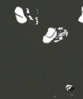 2609225