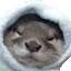 :comfy: